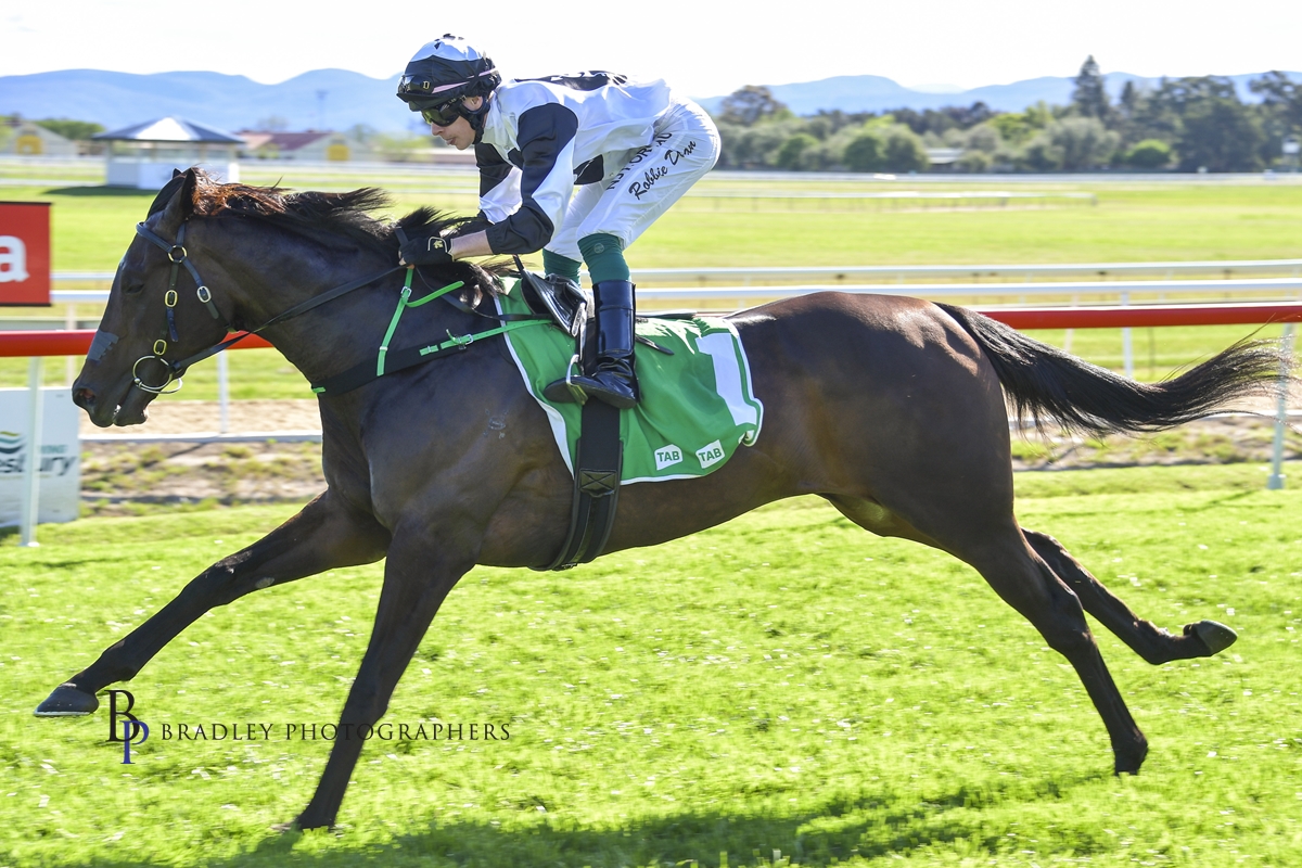 Read more about the article Elizabeel Chases More Black Type