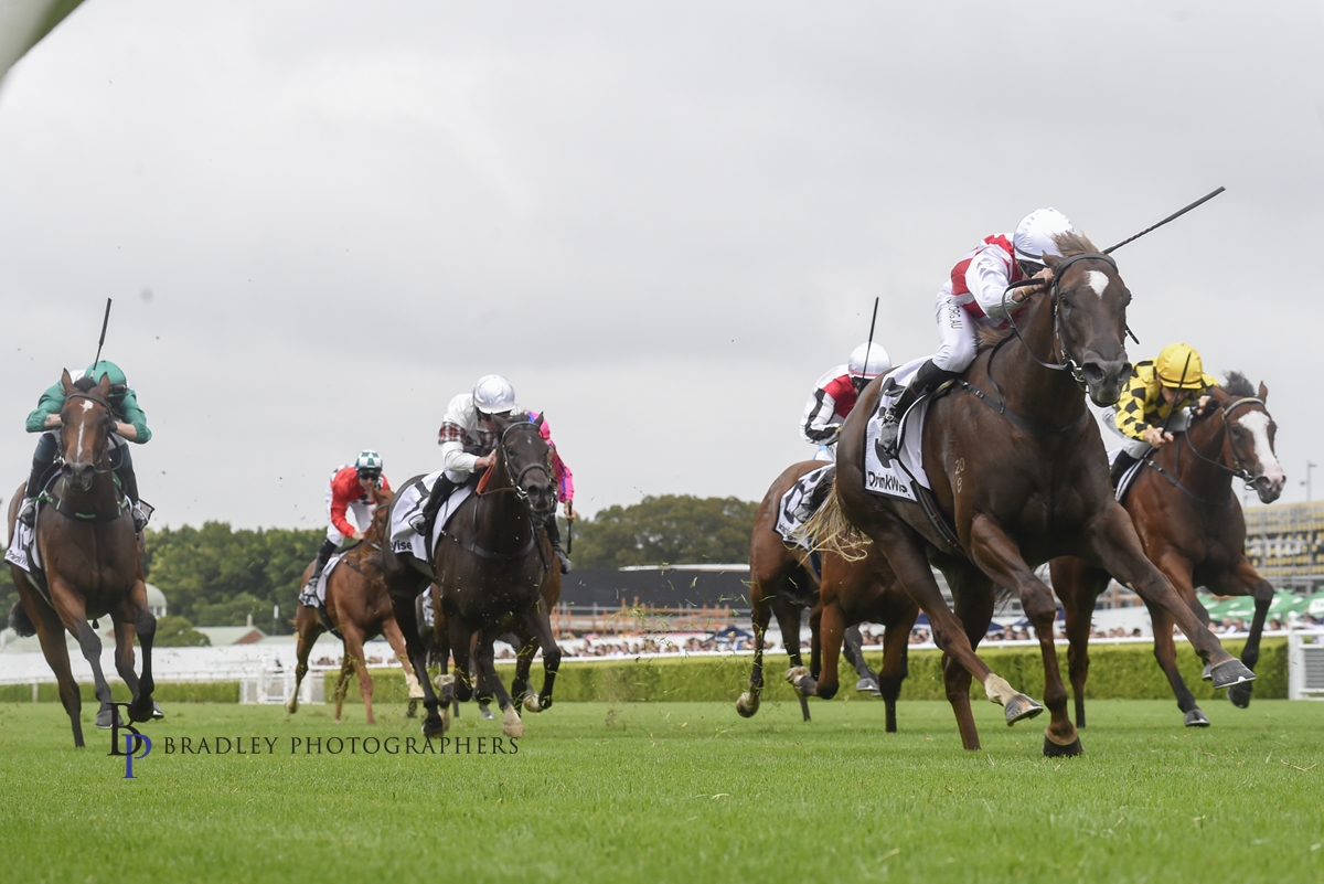 Read more about the article Sargent makes his Move in quest for Golden Slipper