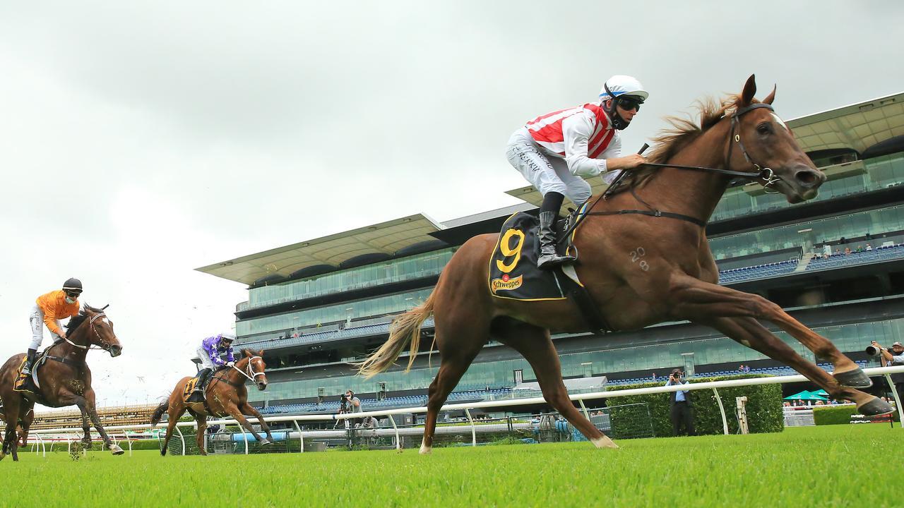 Read more about the article Golden chance for unbeaten Silver Slipper favourite