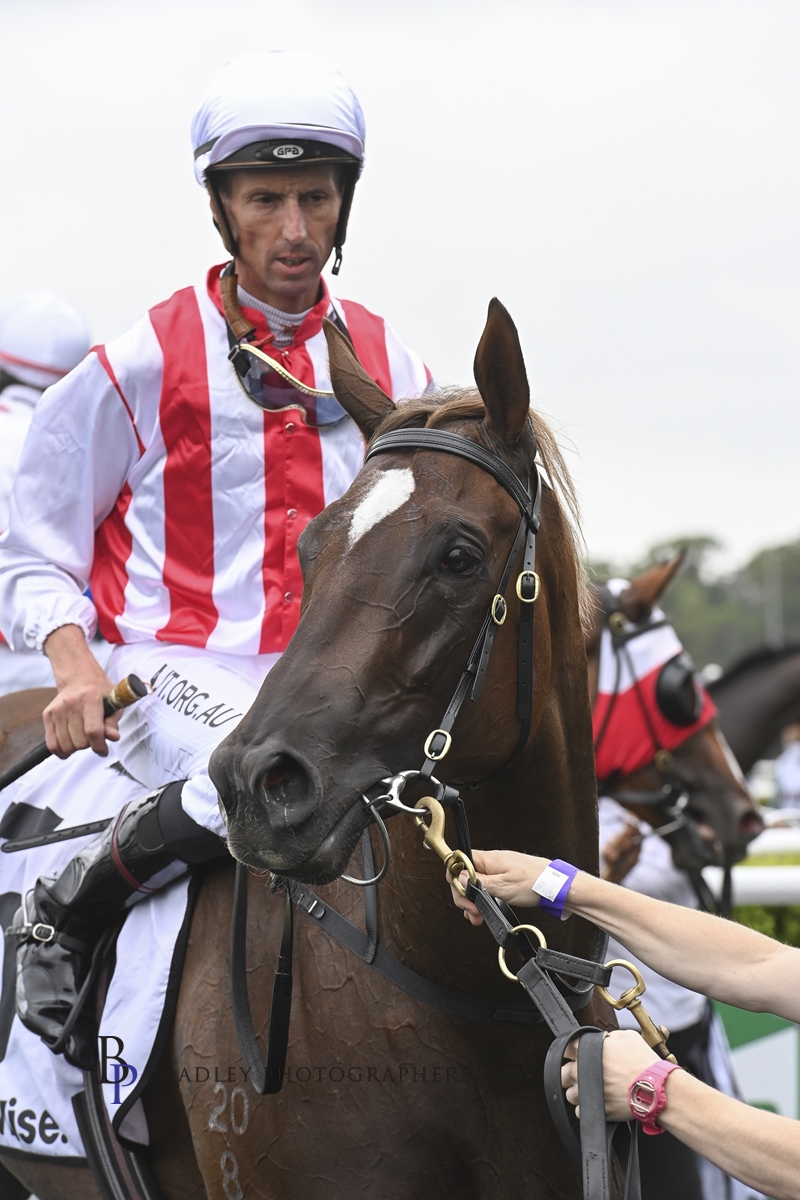 Read more about the article Now’s The Time For Sargent’s Filly To Make Her Move
