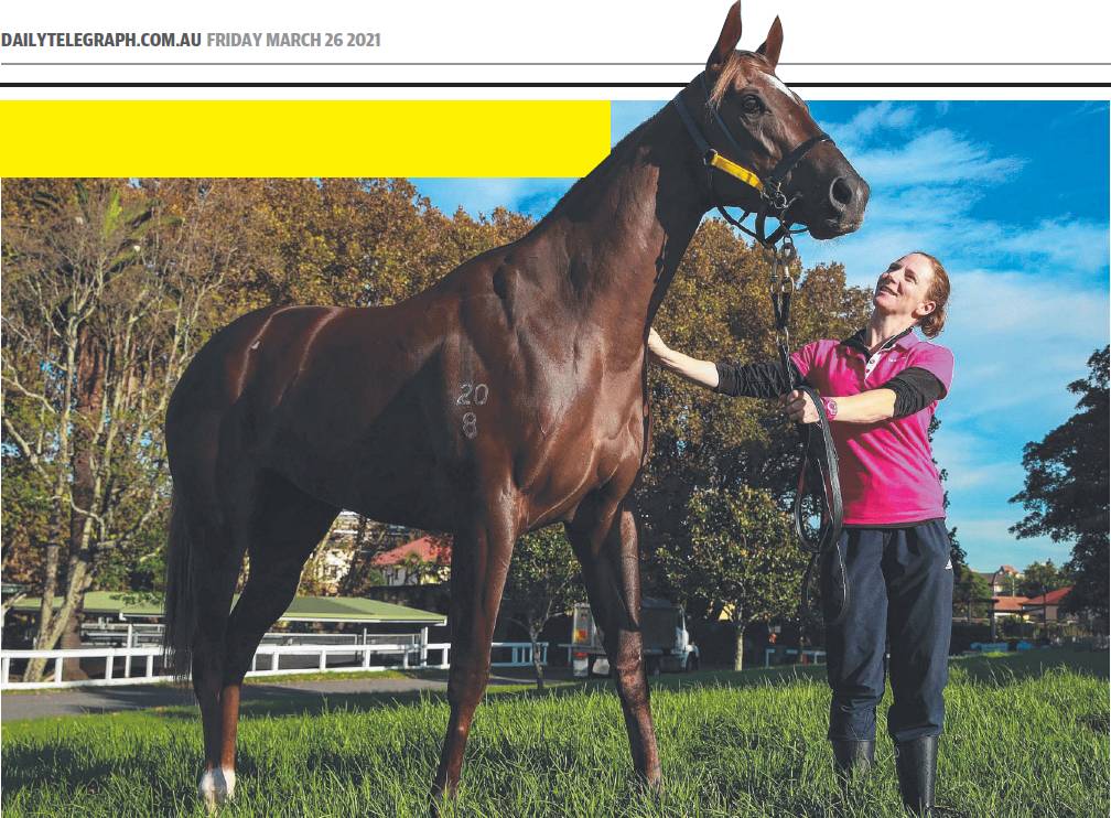 Read more about the article GOLDEN GIRL FLYING FLAG FOR FILLIES