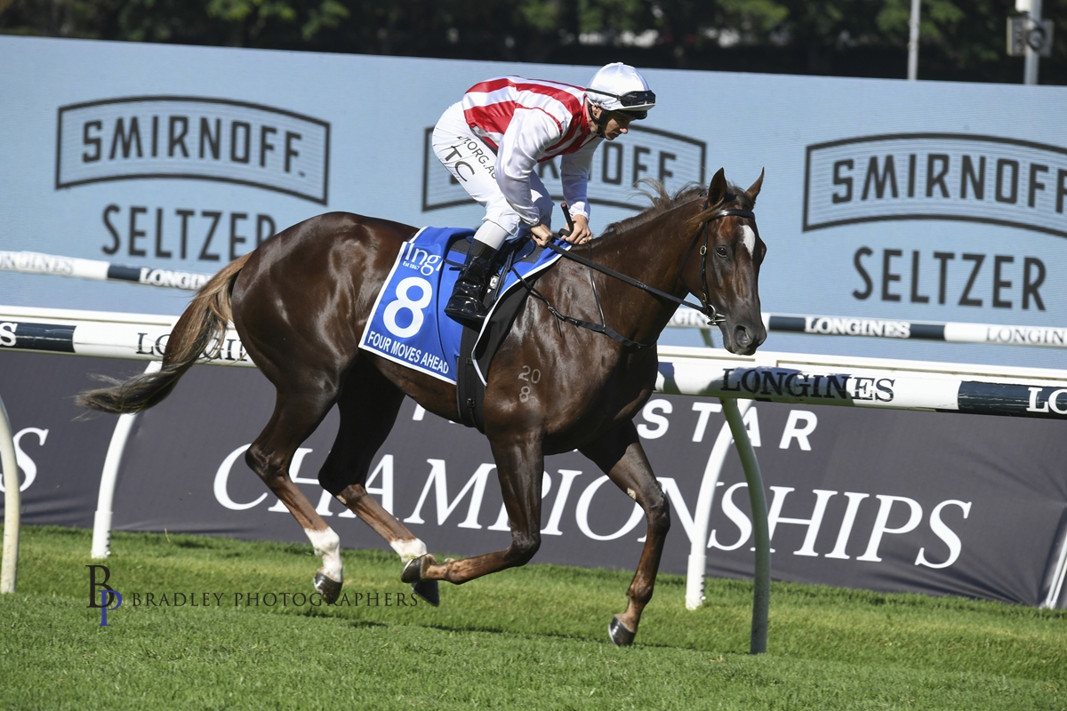 Read more about the article Rosehill Trials Monday 31st Jan