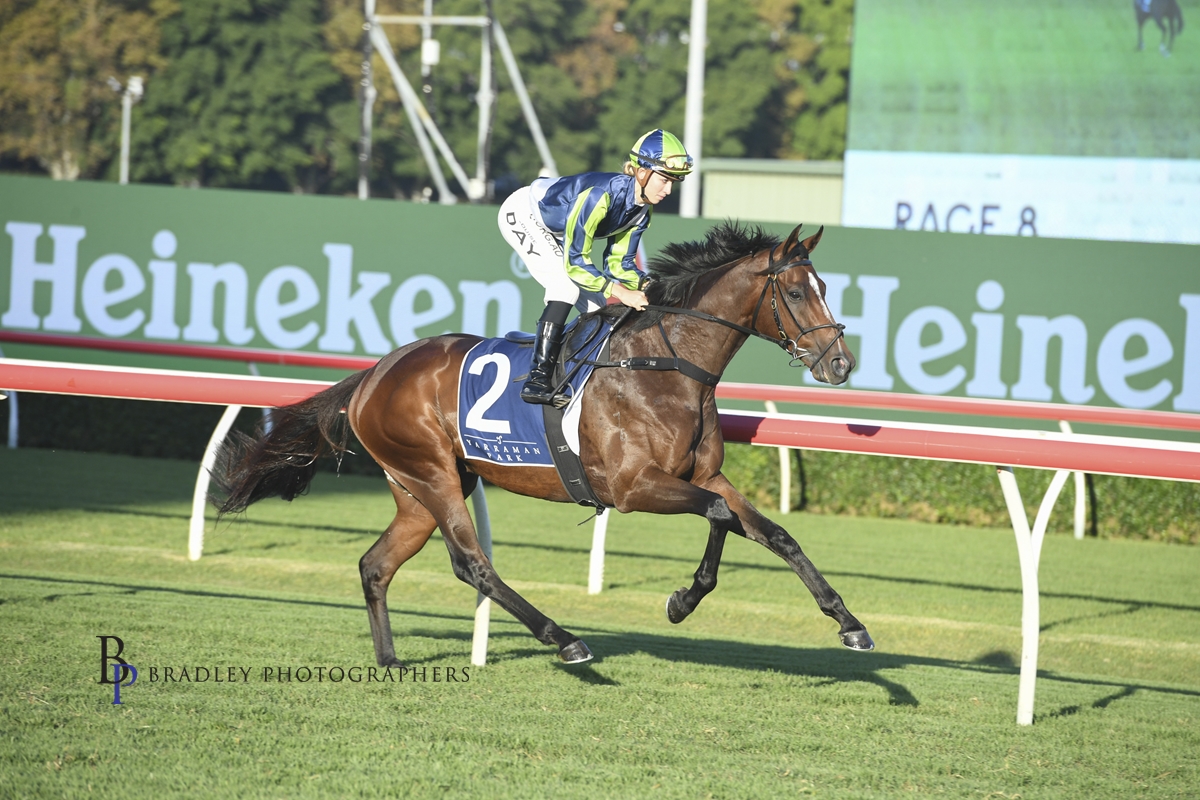 Read more about the article Brandenburg Hopeful of Fortune Change in Coast