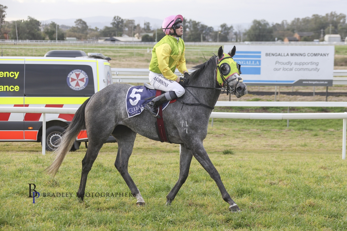 Read more about the article Provincial Opportunity for Last Start Winner