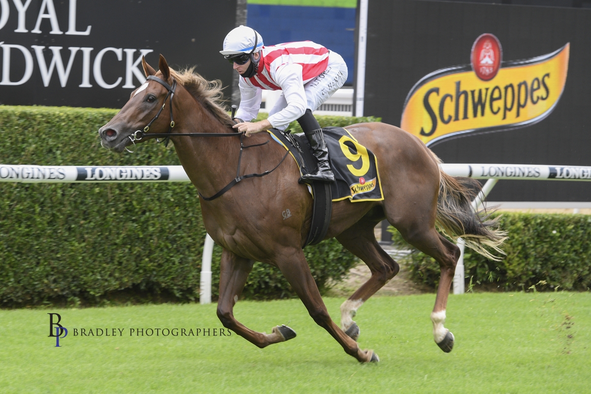 Read more about the article Girls Ready For Next Races