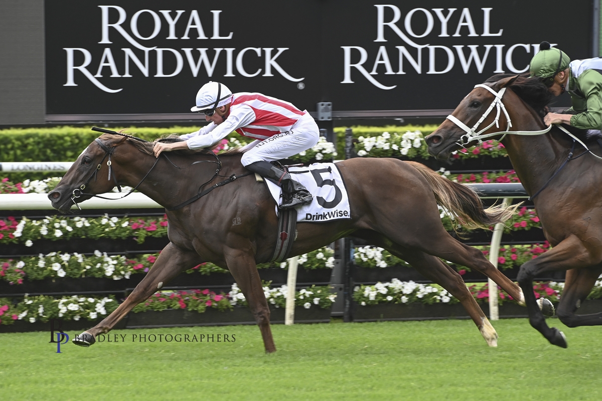 Read more about the article Sargent Filly Set To Make Her Big Spring Move