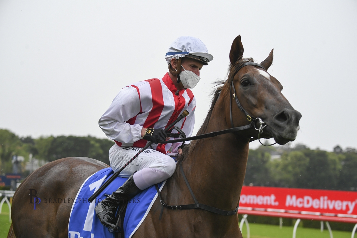 Read more about the article John Sargent sounds ominous warning after Four Moves Ahead’s win