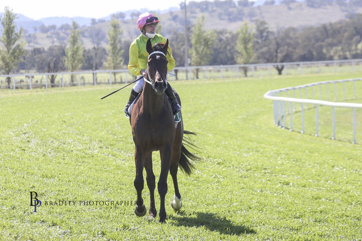 Read more about the article Midweek Start As Sargent Bids For Derby Glory