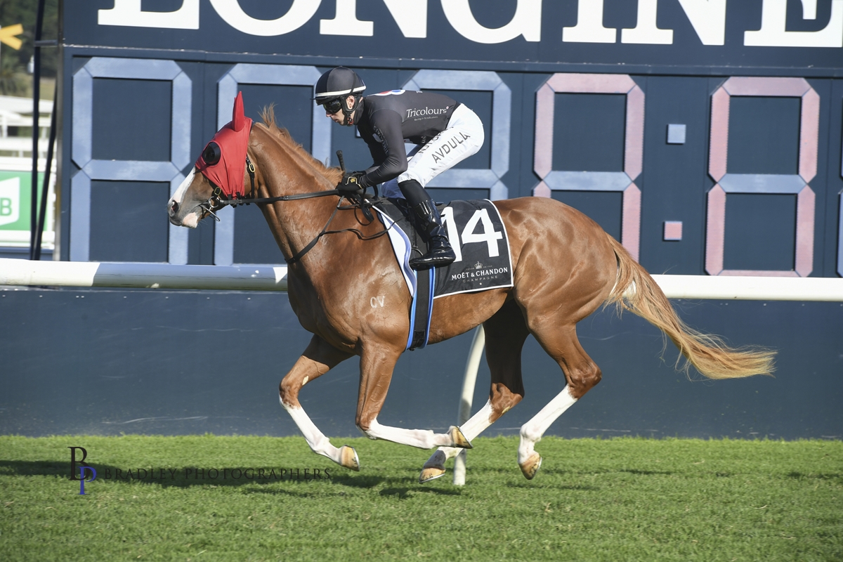 Read more about the article Gin Martini to upset her older rivals in the Belle of the Turf Stakes