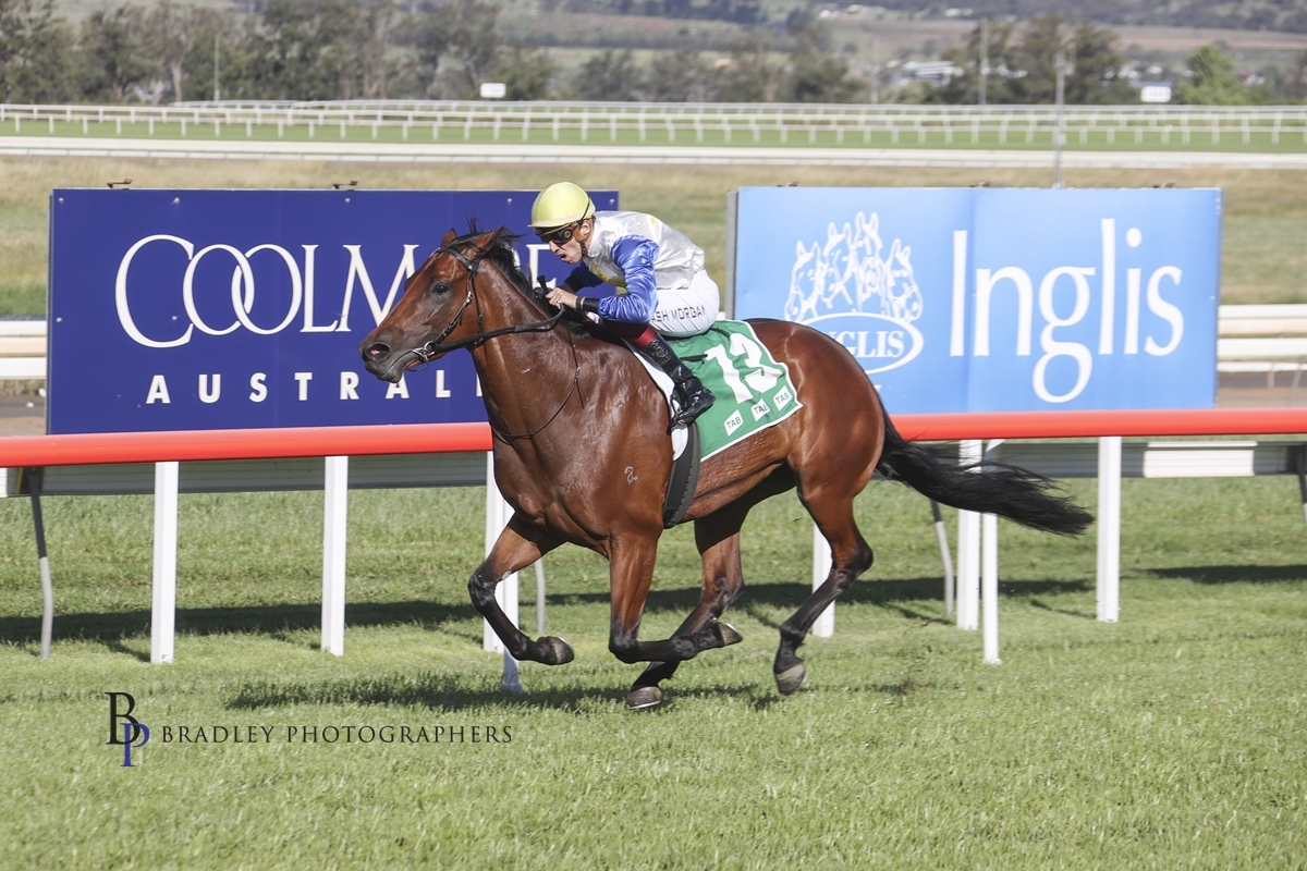 Read more about the article Positive Runs Expected At Hawkesbury