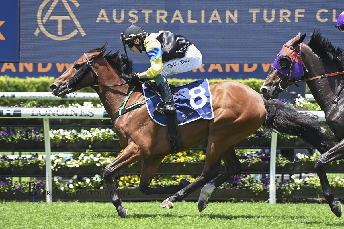 Read more about the article Roughie overcomes bombed start at Randwick