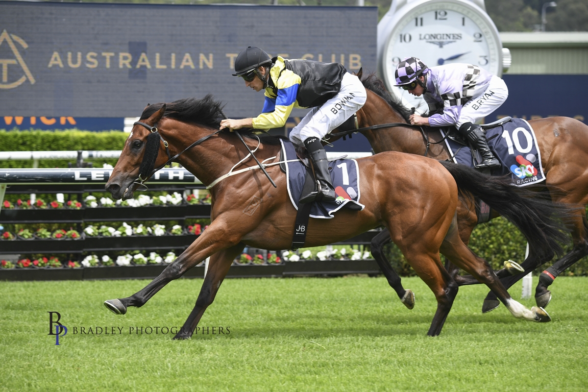 Read more about the article Emerging Stayer Adds Interest To January Cup