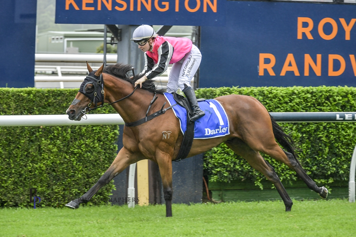 Read more about the article Campese Makes It Look So Easy For Hennessy