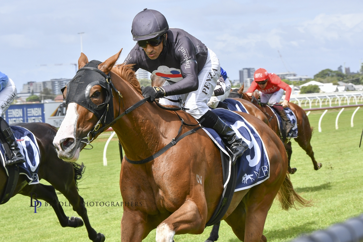 Read more about the article Stable Scores Three Winners in Two Days