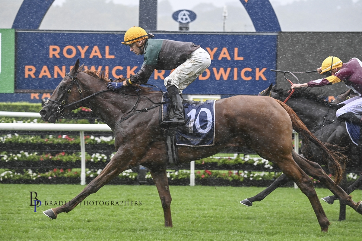 Read more about the article Mayrose Scores Saturday Grade Win