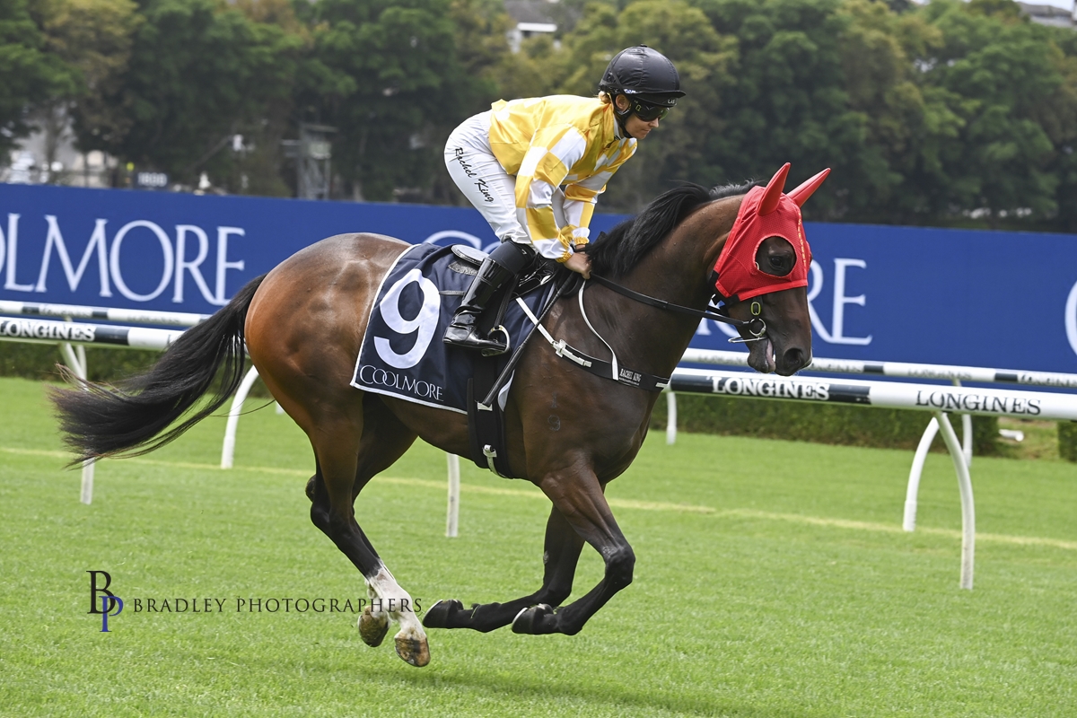 Read more about the article Big Day Awaits Team at Rosehill
