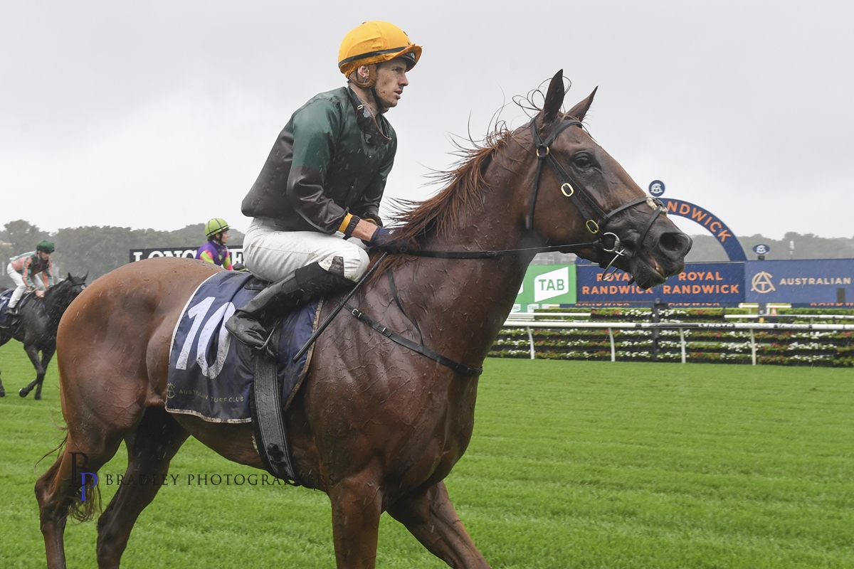 Read more about the article Mayrose Looking To Qualify for Midway Final