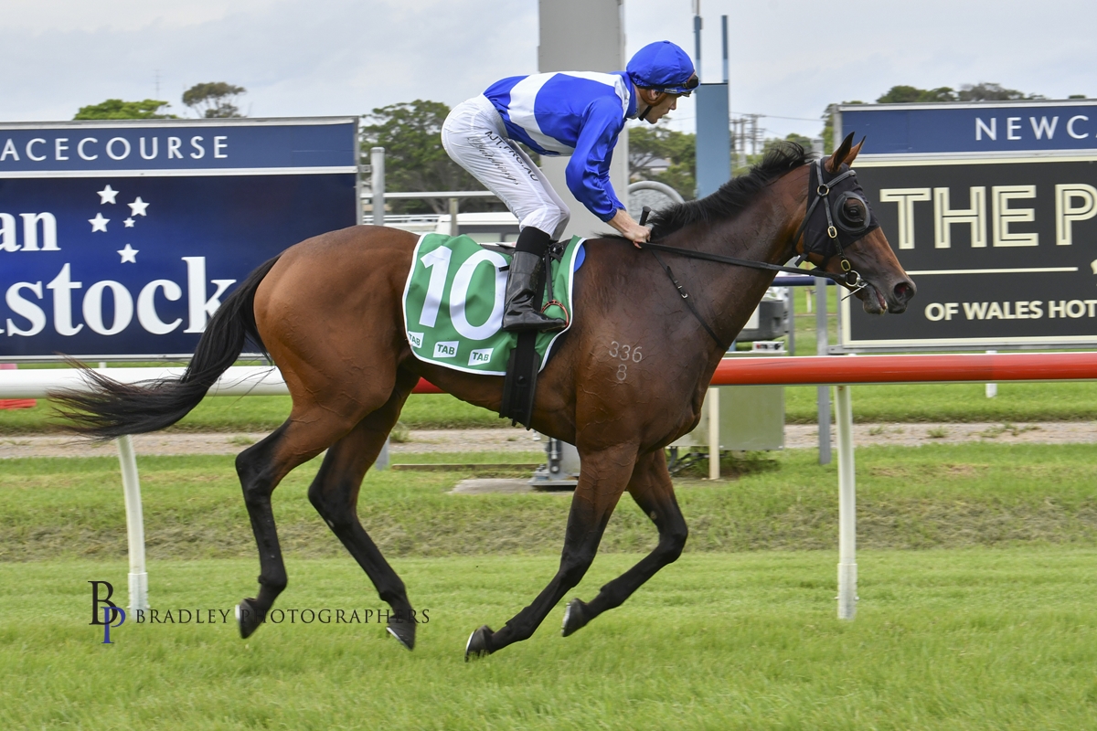 Read more about the article ‘She is an Oaks filly’: Hutchings given group 1 chance on Pink Ivory