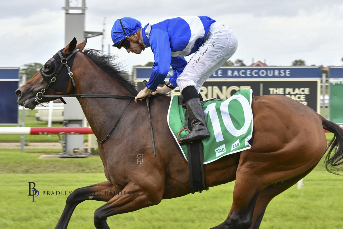 Read more about the article Pink Ivory Continues on Oaks Path