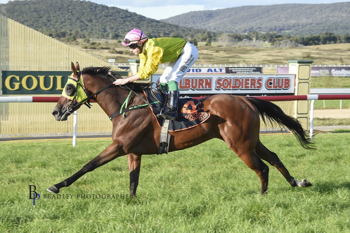 Read more about the article Maurice Filly Earns Chance for  Black Type