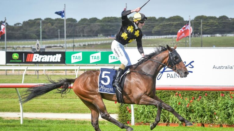 Bastida leads Kiwi quinella in Jericho Cup – John Sargent Racing