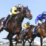 The skinny horse with big appetite chasing Group 1 win